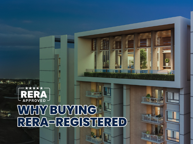 Untitled design (56)